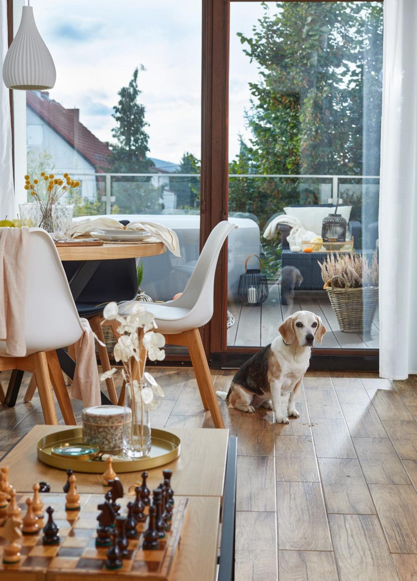 Oh Deer! Apartman Jelenia Góra Kültér fotó